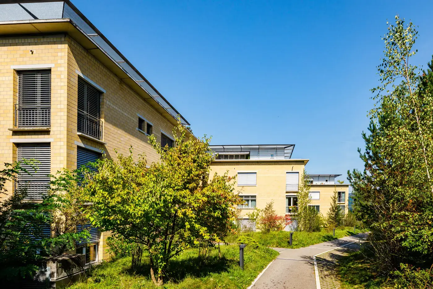 Bühlhäuser Zollikerberg, Mehrfamilienhäuser im Grünen
